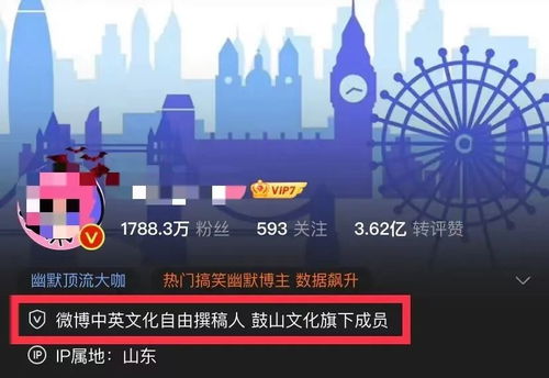 数字文化新风尚 从艺术博物馆到创意内容服务的多元化探索